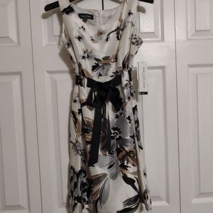 Dress size 6P